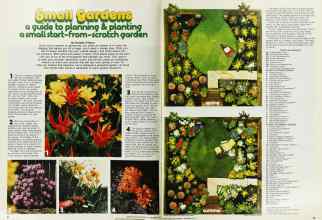 Better Homes & Gardens September 1976 Magazine Article: A guide to planning & planting a small start-from-scratch garden