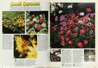 Better Homes & Gardens September 1976 Magazine Article: Page 84