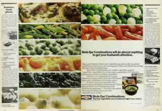 Better Homes & Gardens September 1976 Magazine Article: Page 104