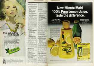 Better Homes & Gardens September 1976 Magazine Article: Page 110