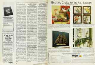 Better Homes & Gardens September 1976 Magazine Article: Page 138