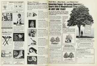 Better Homes & Gardens September 1976 Magazine Article: Page 140