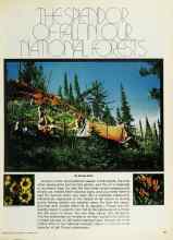 Better Homes & Gardens October 1976 Magazine Article: THE SPLENDOR OF FALL IN OUR NATIONAL FORESTS