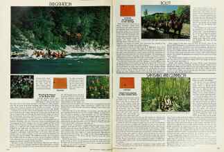 Better Homes & Gardens October 1976 Magazine Article: Page 174