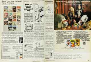 Better Homes & Gardens October 1976 Magazine Article: How to have a well-groomed dog
