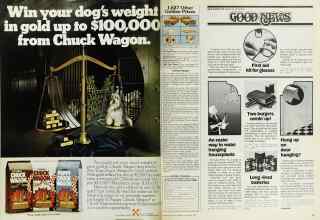 Better Homes & Gardens November 1976 Magazine Article: Page 48