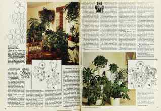 Better Homes & Gardens November 1976 Magazine Article: 35 HOUSEPLANTS WE KNOW YOU CAN GROW