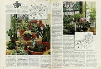 Better Homes & Gardens November 1976 Magazine Article: Page 92
