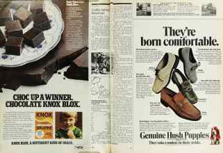 Better Homes & Gardens November 1976 Magazine Article: Page 190