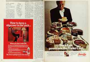 Better Homes & Gardens November 1976 Magazine Article: Page 208