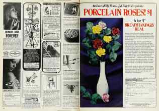 Better Homes & Gardens November 1976 Magazine Article: Page 214