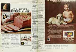 Better Homes & Gardens December 1976 Magazine Article: Page 108