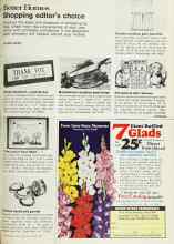 Better Homes & Gardens January 1977 Magazine Article: Shopping editor's choice