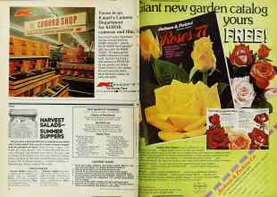 Better Homes & Gardens January 1977 Magazine Article: Page 12