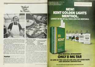 Better Homes & Gardens January 1977 Magazine Article: Page 38