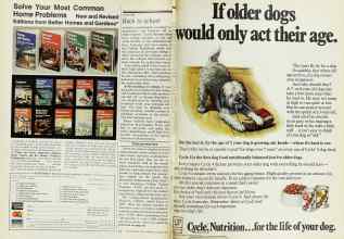 Better Homes & Gardens January 1977 Magazine Article: Page 54