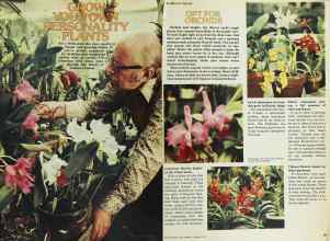 Better Homes & Gardens January 1977 Magazine Article: GROW YOUR OWN PERSONALITY PLANTS