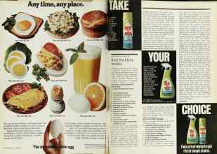 Better Homes & Gardens January 1977 Magazine Article: Page 104