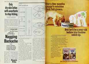 Better Homes & Gardens January 1977 Magazine Article: Page 122