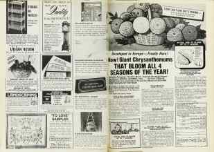 Better Homes & Gardens January 1977 Magazine Article: Page 130