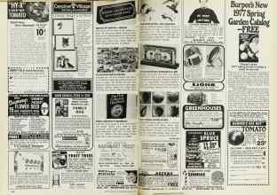 Better Homes & Gardens January 1977 Magazine Article: Page 142