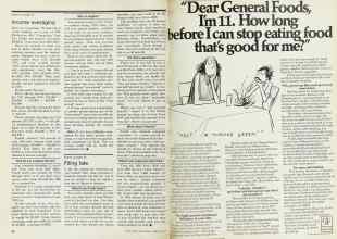 Better Homes & Gardens February 1977 Magazine Article: Page 20