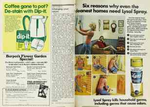 Better Homes & Gardens February 1977 Magazine Article: Page 22