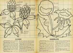 Better Homes & Gardens February 1977 Magazine Article: Page 72