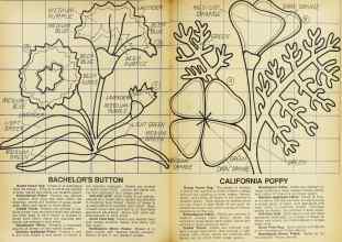 Better Homes & Gardens February 1977 Magazine Article: Page 74