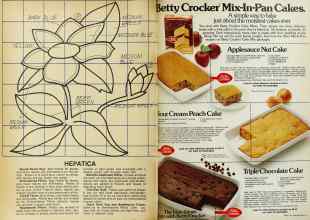 Better Homes & Gardens February 1977 Magazine Article: Page 76