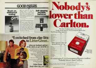 Better Homes & Gardens February 1977 Magazine Article: Page 100