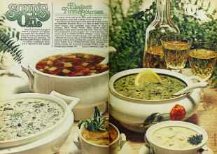 Better Homes & Gardens February 1977 Magazine Article: Page 122