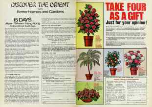 Better Homes & Gardens February 1977 Magazine Article: Page 196