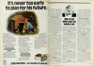 Better Homes & Gardens February 1977 Magazine Article: Page 198