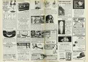 Better Homes & Gardens February 1977 Magazine Article: Page 208