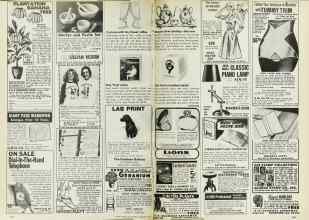Better Homes & Gardens February 1977 Magazine Article: Page 210