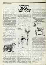Better Homes & Gardens March 1977 Magazine Article: UNUSUAL DOGS YOUR FAMILY WILL LOVE