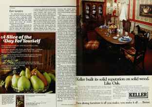 Better Homes & Gardens March 1977 Magazine Article: Page 58