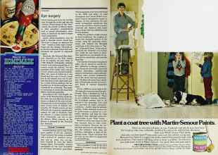 Better Homes & Gardens March 1977 Magazine Article: Page 60