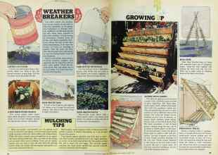 Better Homes & Gardens March 1977 Magazine Article: Page 94