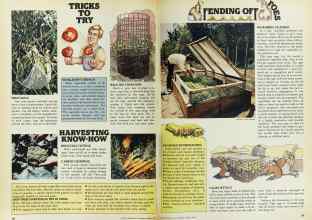 Better Homes & Gardens March 1977 Magazine Article: Page 96