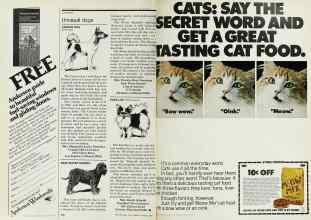 Better Homes & Gardens March 1977 Magazine Article: Page 150