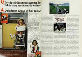 Better Homes & Gardens March 1977 Magazine Article: Page 156