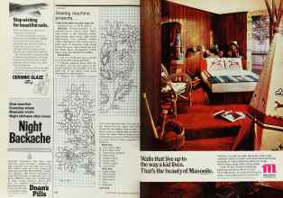 Better Homes & Gardens March 1977 Magazine Article: Page 168