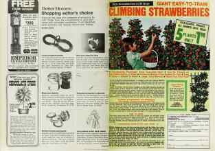 Better Homes & Gardens March 1977 Magazine Article: Page 174