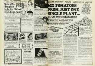 Better Homes & Gardens March 1977 Magazine Article: Page 184