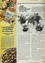 Better Homes & Gardens April 1977 Magazine Article: HOUSEPLANT HOW-TO