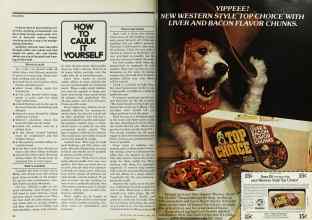 Better Homes & Gardens April 1977 Magazine Article: Page 24