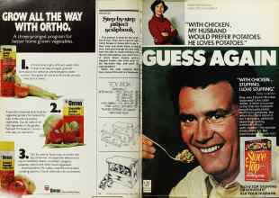 Better Homes & Gardens April 1977 Magazine Article: Page 98