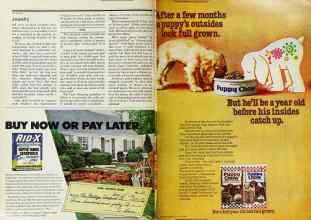 Better Homes & Gardens April 1977 Magazine Article: Page 112
